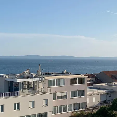 Maslina * Split